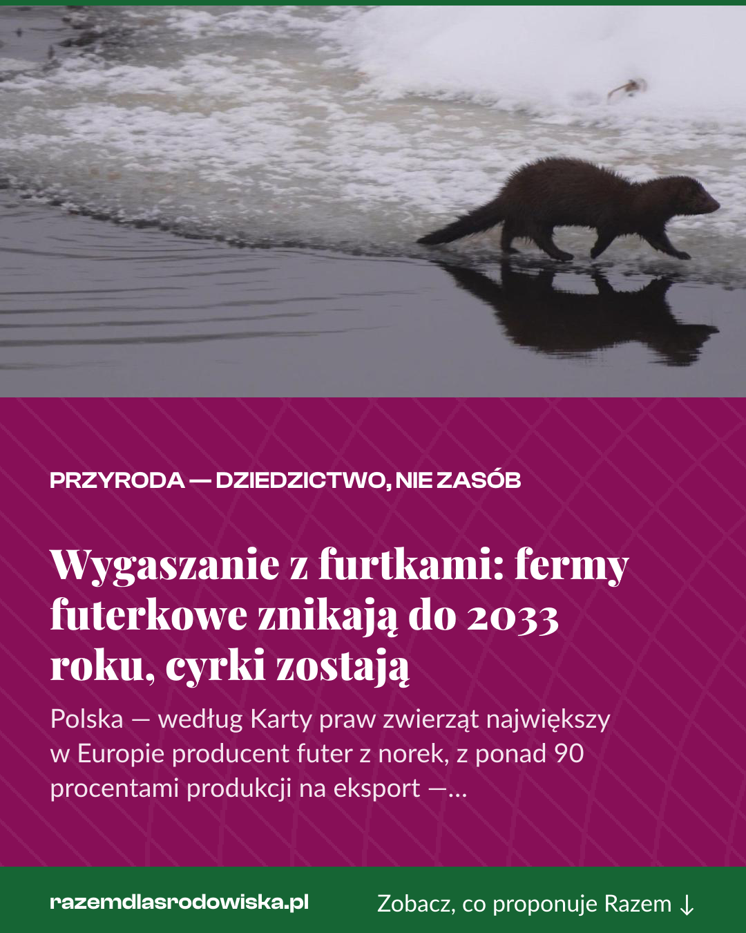 Grafika pionowa do udostępnienia: Wygaszanie z furtkami: fermy futerkowe znikają do 2033 roku, cyrki zostają